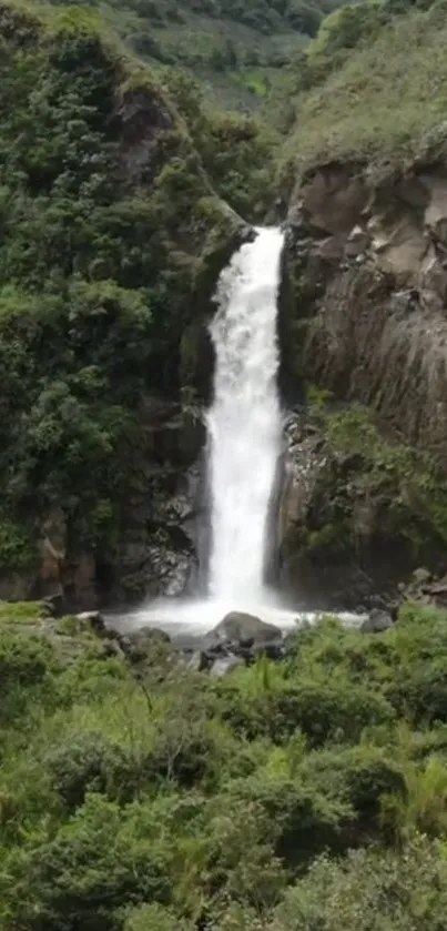 A serene waterfall amid lush greenery and rocks.