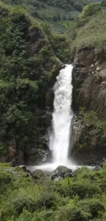 A serene waterfall cascading amidst lush green forest.