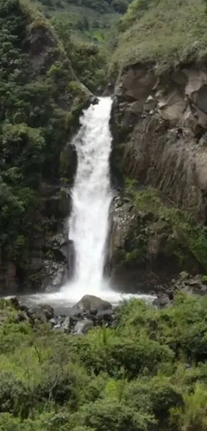 Serene waterfall surrounded by lush greenery.