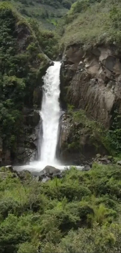 A refreshing waterfall surrounded by lush greenery and rocky cliffs.