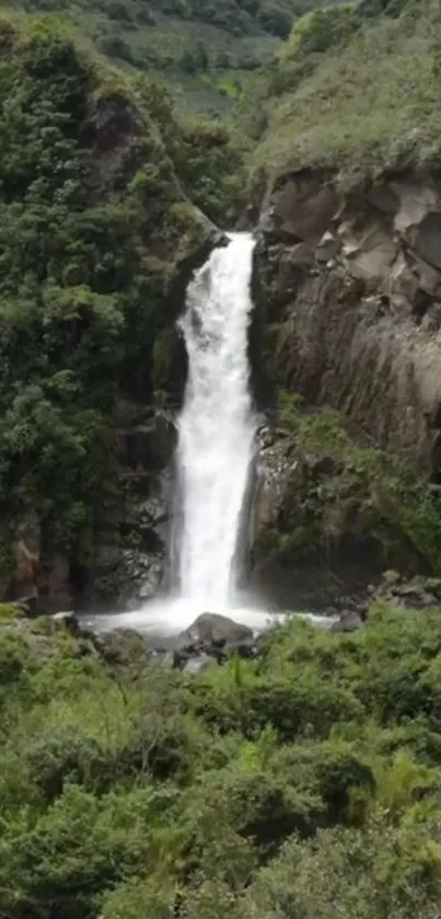 Waterfall cascading through lush green forest with rocky cliffs.