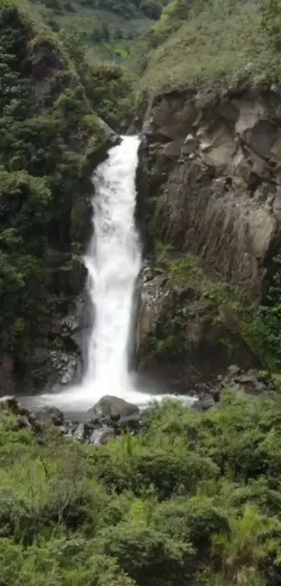 A beautiful waterfall cascades in a lush green forest.