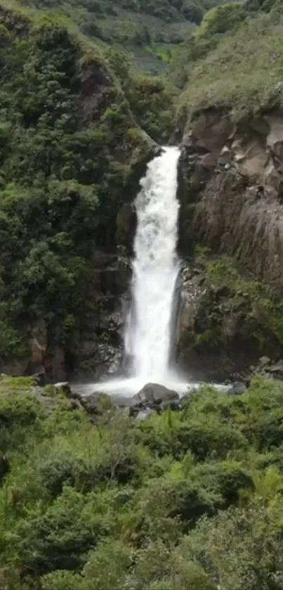 Serene waterfall in a lush green forest setting.