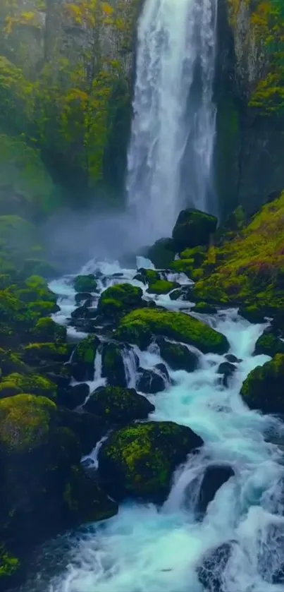 Lush green forest waterfall scenery.