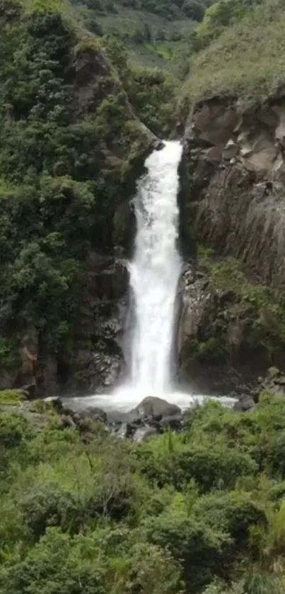 Waterfall amidst lush green forest landscape.