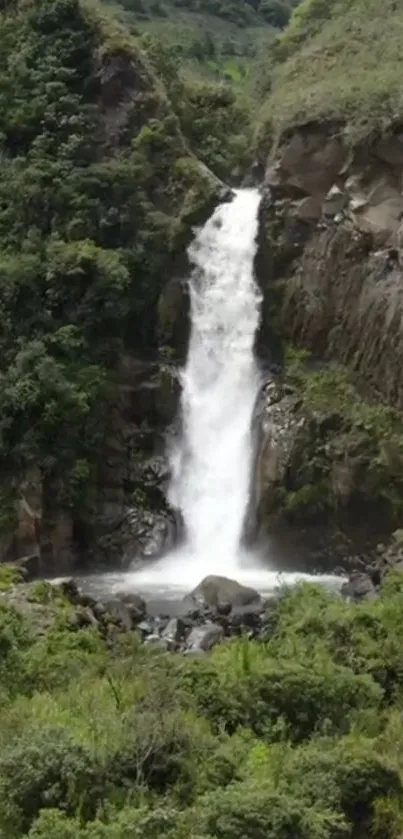 Peaceful waterfall flowing in a lush green forest landscape.