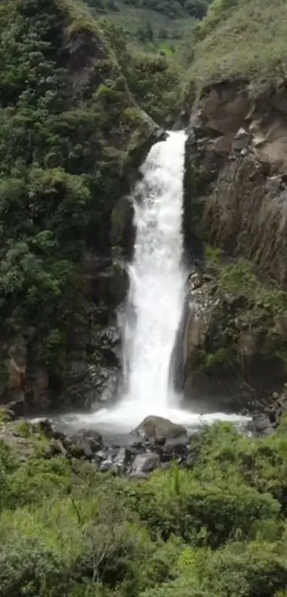 Serene waterfall cascading in lush forest setting.