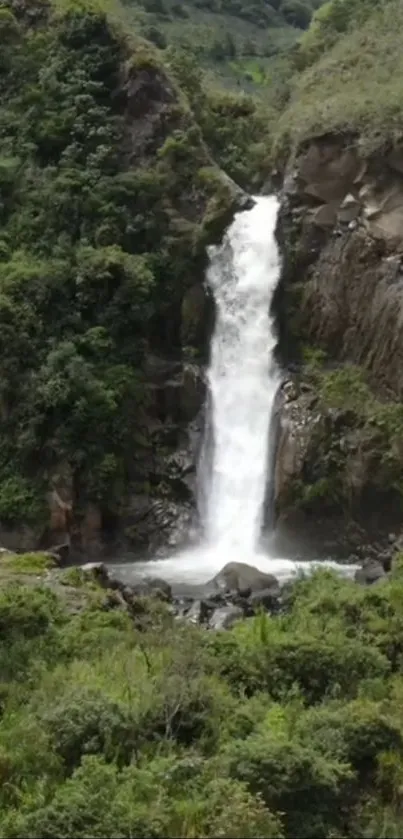 Cascading waterfall surrounded by lush greenery in a tranquil forest setting.