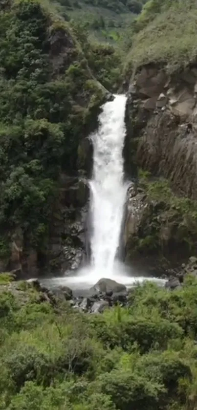 Waterfall cascading in lush green forest.