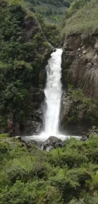 A beautiful waterfall cascading through lush greenery in a serene forest setting.