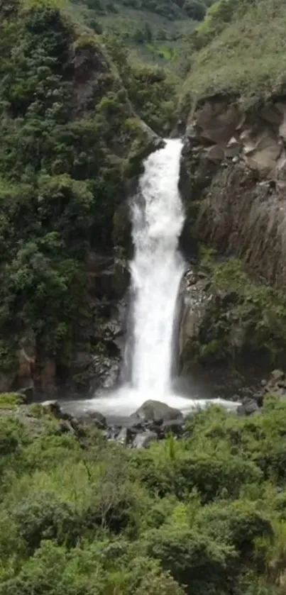 A serene waterfall cascading through a lush green forest.