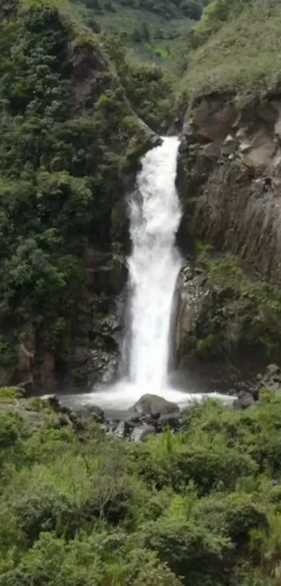 Waterfall flowing through lush green forest scenery.