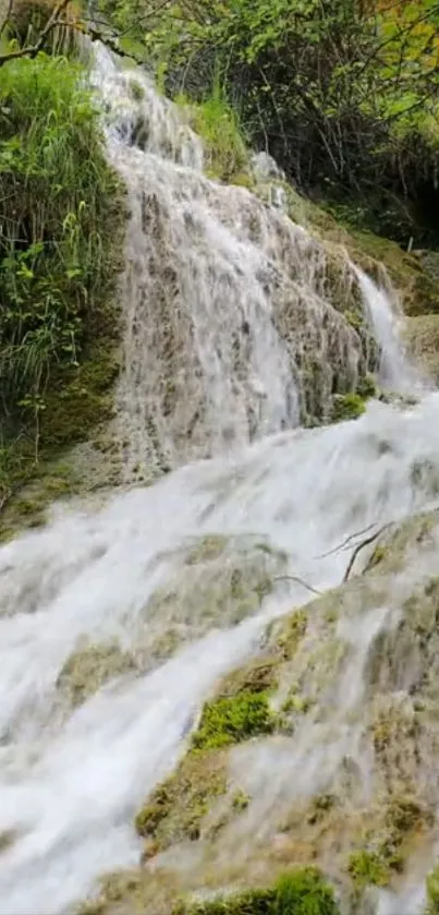 Mobile wallpaper of a serene waterfall surrounded by lush greenery.