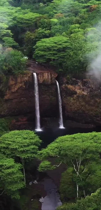 Serene waterfall surrounded by lush green forest landscape.