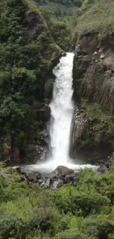 Majestic waterfall flowing amid lush green forest.