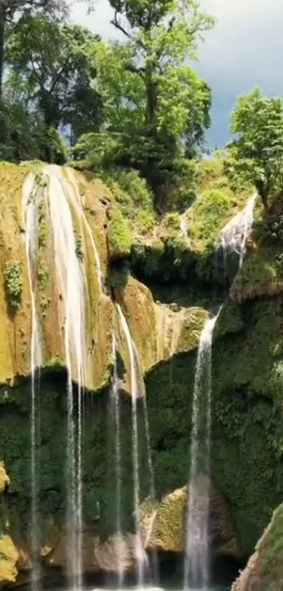 Waterfall cascading in lush green forest scenery.