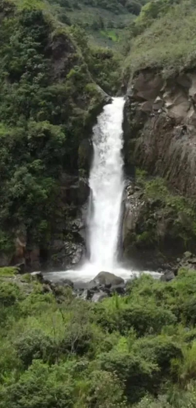 A serene waterfall flowing through lush green jungle landscape.