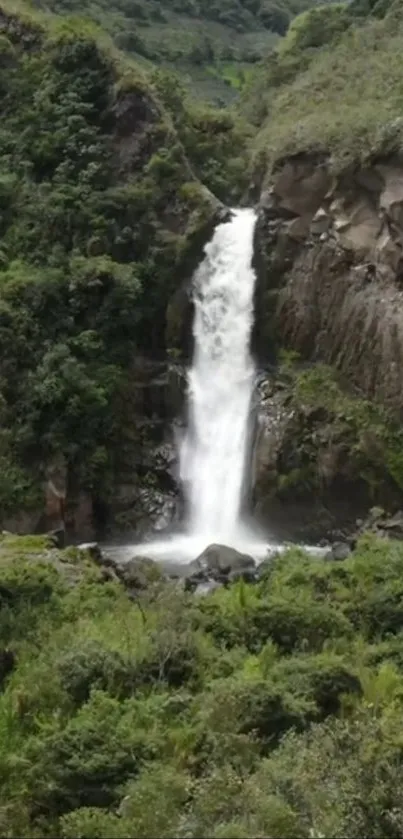 Tall waterfall in lush jungle setting, surrounded by greenery.