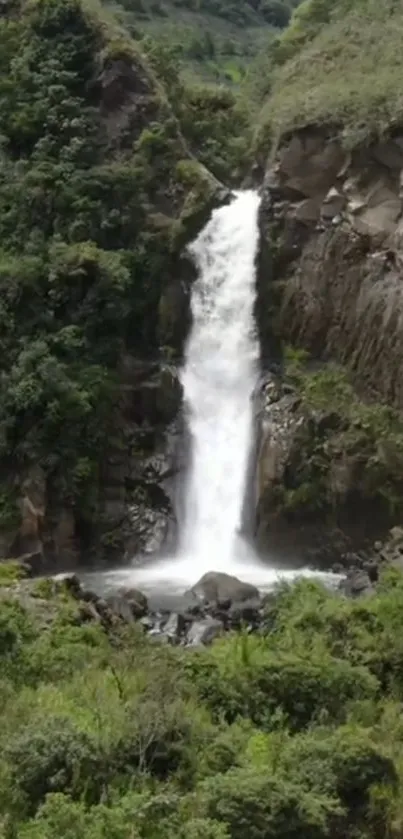 Waterfall surrounded by lush green landscape.