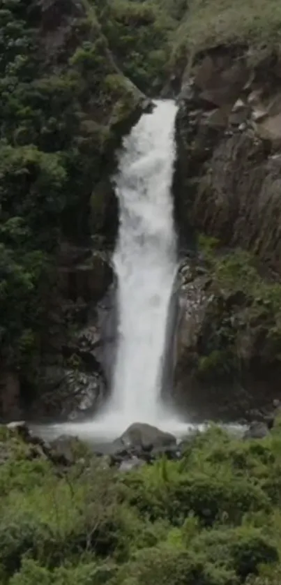 Majestic waterfall surrounded by lush greenery in nature.