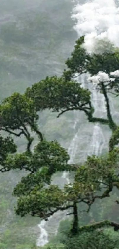 Misty forest with a waterfall cascading through lush greenery.