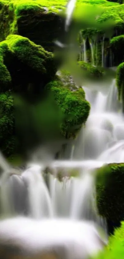 Mobile wallpaper featuring a stunning waterfall with lush green moss.