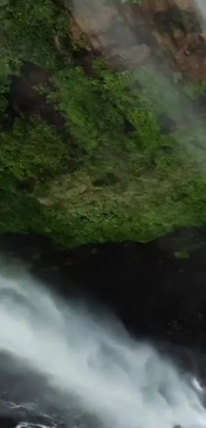 Serene waterfall cascading over lush greenery in nature.