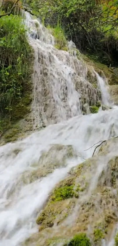 Tranquil waterfall flowing over mossy rocks surrounded by lush greenery.