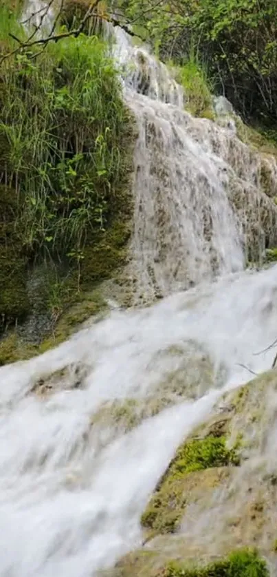 Serene waterfall cascading over mossy rocks and lush greenery.