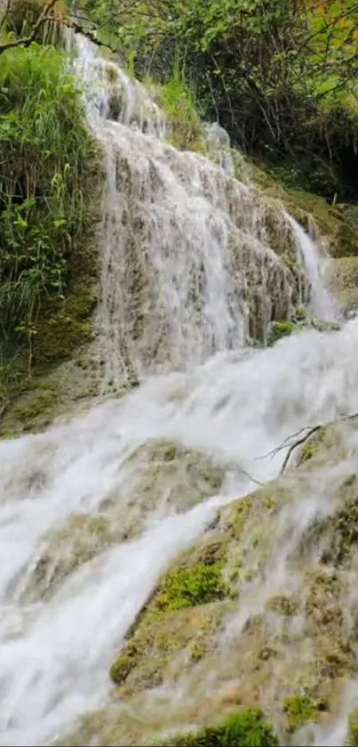 Serene waterfall surrounded by green foliage and moss in a natural landscape.