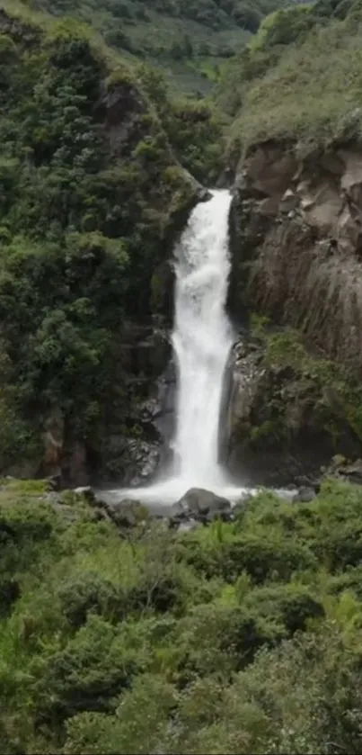 A serene waterfall amidst lush greenery