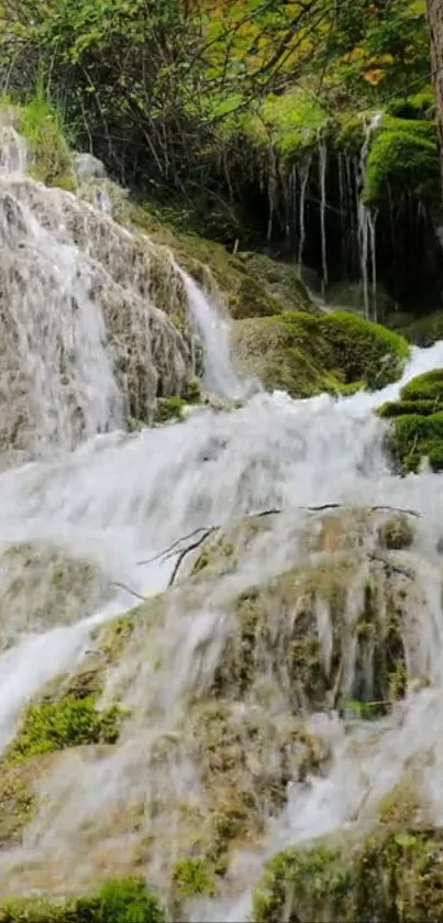 Serene waterfall cascading through green forest scenery.