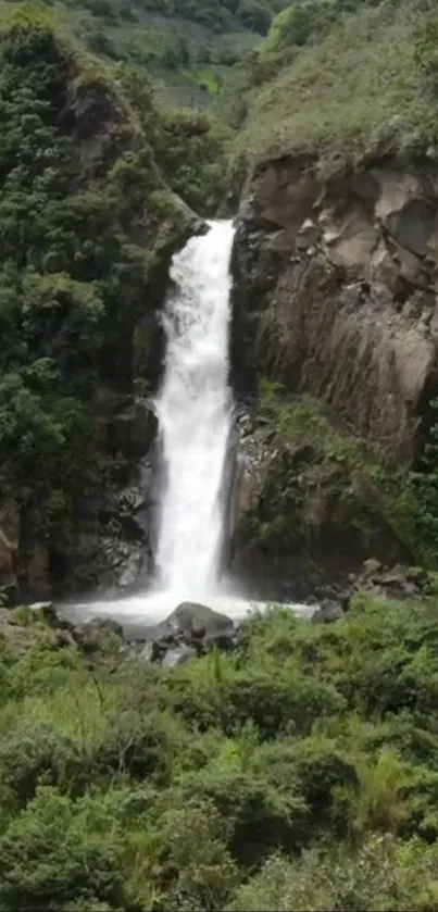 Waterfall cascading down a rocky cliff surrounded by lush green vegetation.