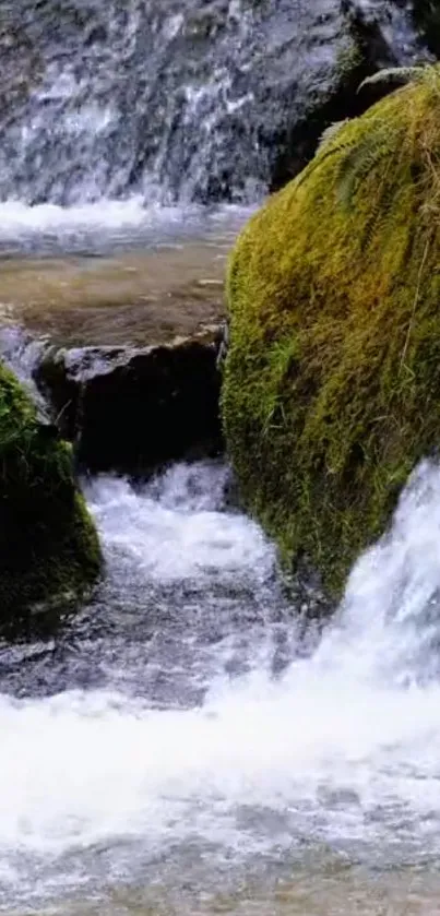 Serene waterfall amid lush green moss and flowing water.