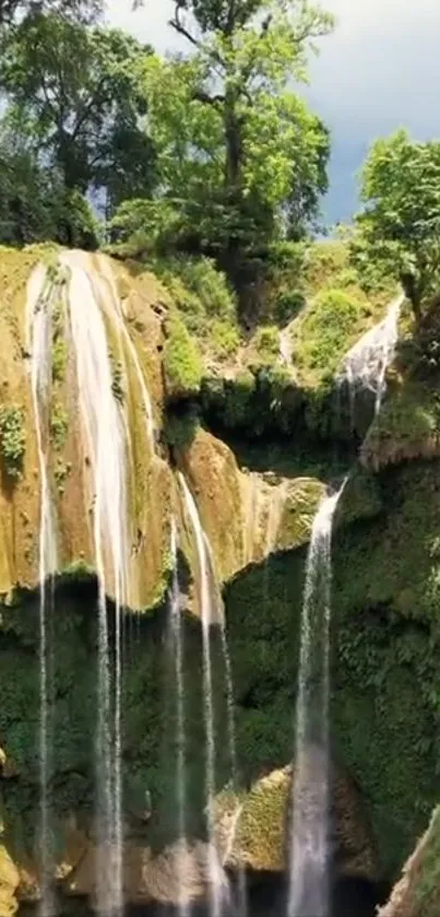 Scenic mobile wallpaper featuring a serene waterfall and lush greenery.