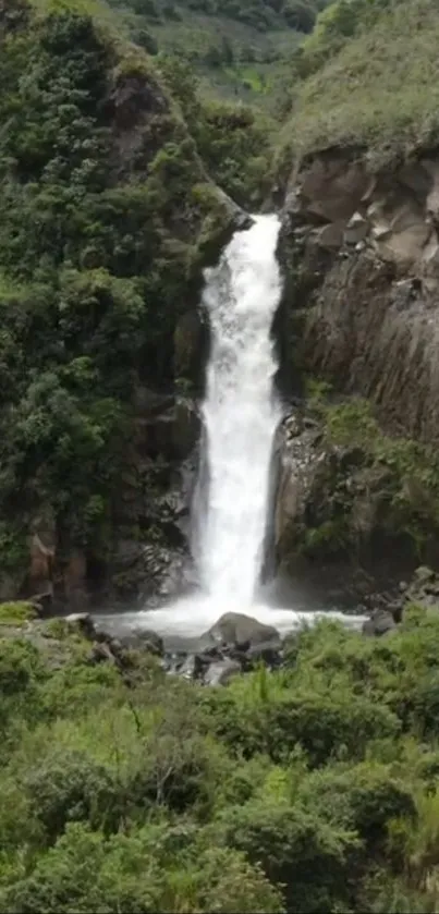 Serene waterfall with lush greenery and rushing water, perfect for a calming wallpaper.