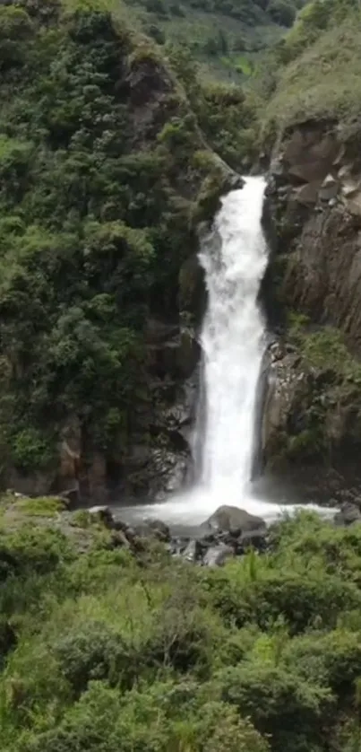 Serene waterfall amidst lush greenery in a tranquil landscape.