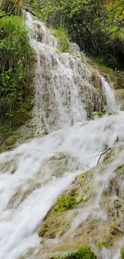 Serene waterfall in lush green forest.