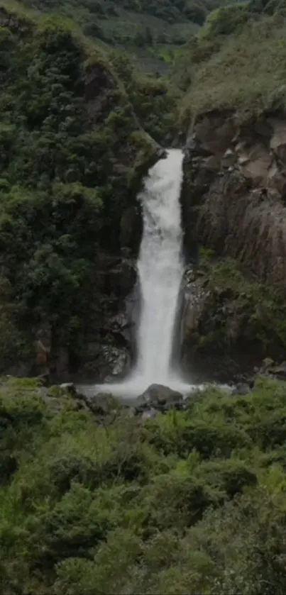 Waterfall in lush green forest landscape.