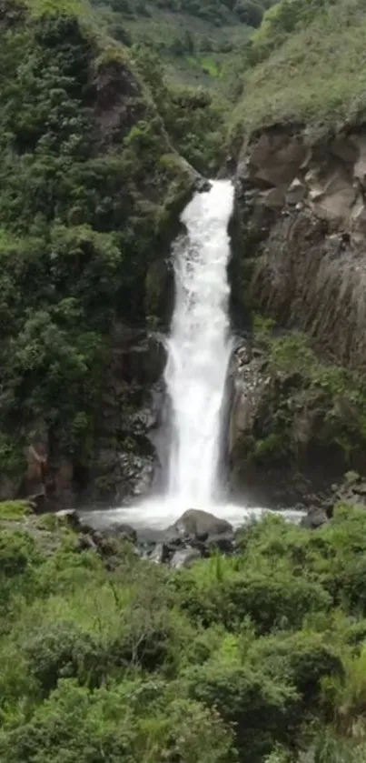 A serene waterfall cascading amid lush greenery.