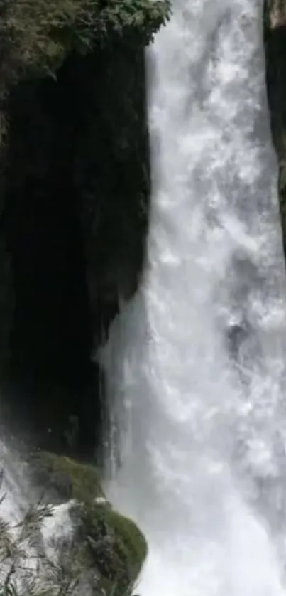 Mobile wallpaper showing a serene waterfall cascading down cliffs.