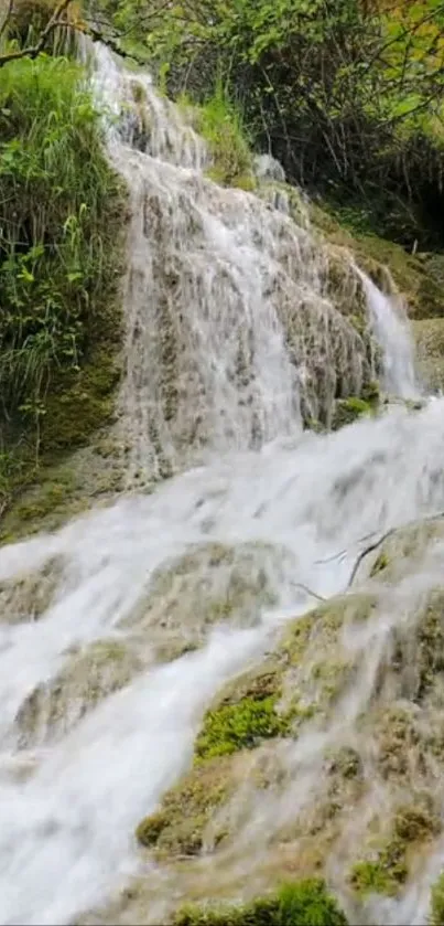 Cascading waterfall over mossy rocks and lush greenery.