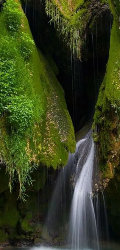 Serene waterfall with lush green moss and gentle cascading water.