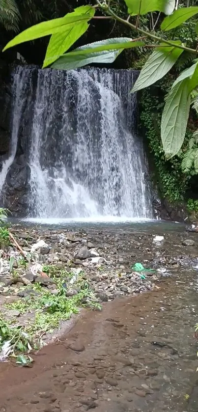 Serene waterfall with lush greenery and clear water in a calming natural setting.