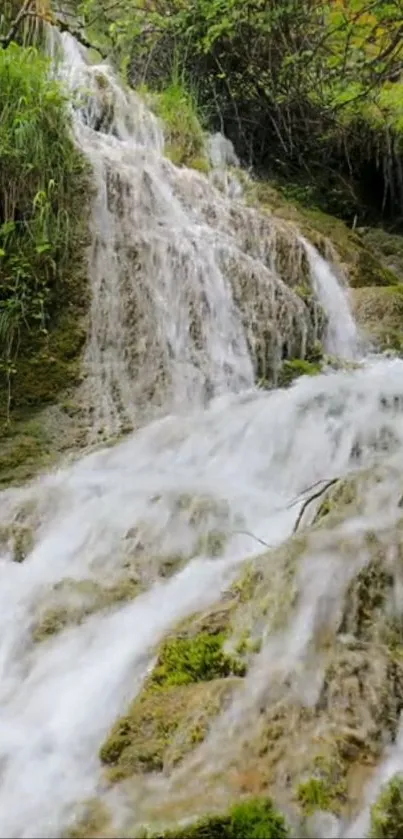 A serene waterfall amidst lush green landscape on a mobile wallpaper.