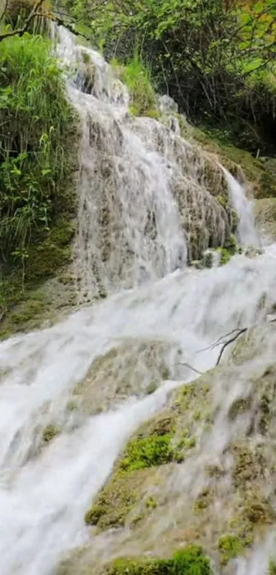 Serene waterfall with lush greenery background in mobile wallpaper.