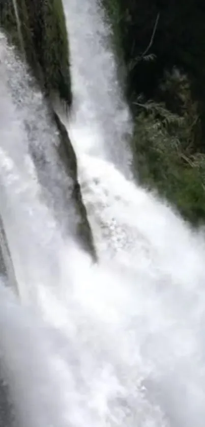 Serene waterfall with flowing white water and greenery.