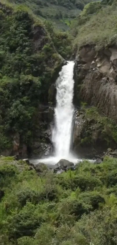 A serene mobile wallpaper of a waterfall amidst lush greenery.