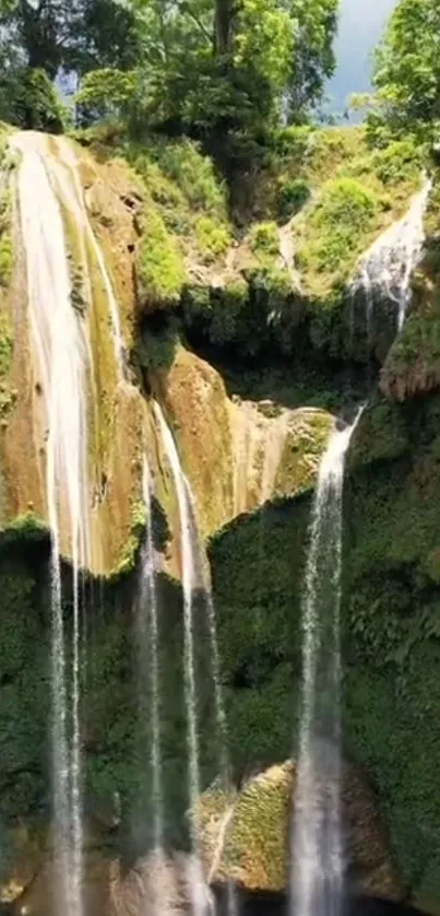 Lush green waterfall mobile wallpaper for a serene nature experience.