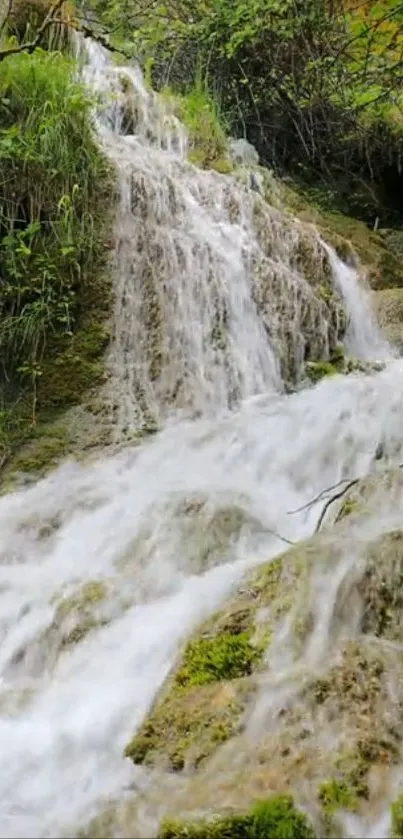 Serene waterfall flowing over mossy rocks with lush greenery.